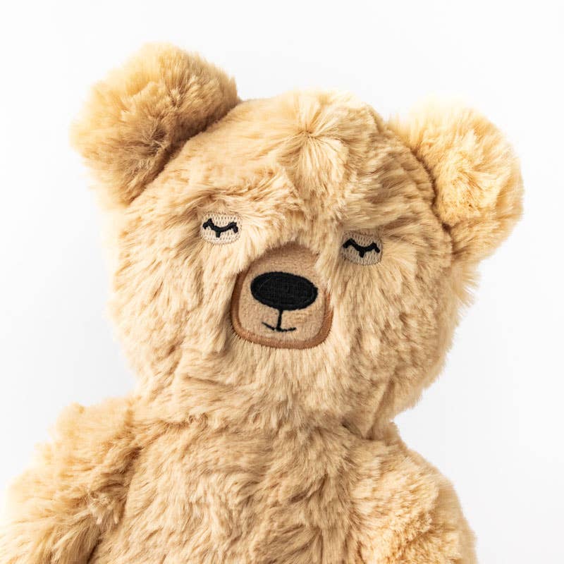 Slumberkins Inc. - Honey Bear's Gratitude Plush Set - with 2 books!